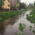 zdjęcie nr 8