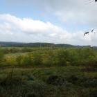 Widoki z Grodziska