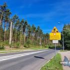 Błąd w nawigacji Google Maps. Nad Zalew Sosina dojedziesz ulicą Bukowską od strony...