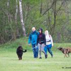 Dog treking 27.04.2019 10-13-53