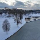 Sosina Jaworzno