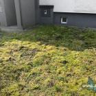 zdjęcie nr 19
