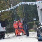 Pracownicy MZDiM sadzą drzewka we wcześniej przygotowanych miejscach