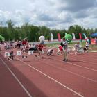 Zawodniczki MCKiS Jaworzno podczas wojewódzkich eliminacji programu Lekkoatletyczne...