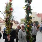 zdjęcie nr 17