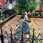 halloween (2)