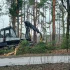 1-wycinka drzew wojska polskiego (5)