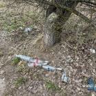 Zaśmiecone Jaworzno