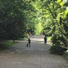 zdjęcie nr 53