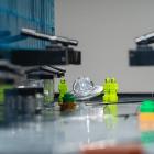 fot. Dominik Mikuszewski