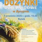 zdjęcie nr 11