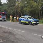 zdjęcie nr 8