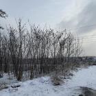 Lokalizacja inwestycji na granicy Jaworzna oraz Bukowna