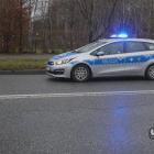 zdjęcie nr 8