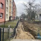 zdjęcie nr 10