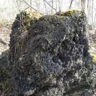 Czarne Skałki, Wapniówka