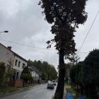 zdjęcie nr 12