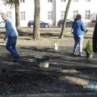 zdjęcie nr 16