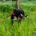zdjęcie nr 25