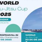 Klub Sportów Walki „Satori” Jaworzno