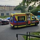 Fotka nr 2 z 11