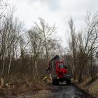 zdjęcie nr 9