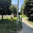 zdjęcie nr 8