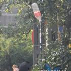 Pomysłowy mieszkaniec Jaworzna próbował strącić jabłka za pomocą własnoręcznie...