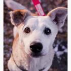 239945061_558757705270609_3275476741456818674_n