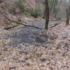 Wypływ wody Jaworznika