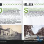 zdjęcie nr 14