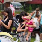 piknik - OSP Dąbrowa Narodowa 22.06.2019 18-41-36