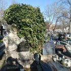 Pierwsza mogiła w bluszczem