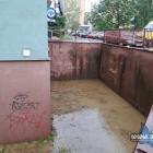 zdjęcie nr 2