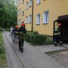 straz3