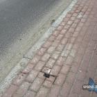 Posprzątany teren w Cięzkowicach