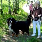 Beata Sikora i pies Berni