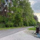 Według dokumentacji przetargowej, do wycinki będzie około 300 drzew. To dane...