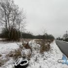 Jeleń Dąb