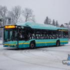 Fotka nr 3 z 51