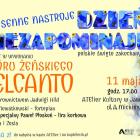 Fotka nr 1 z 7