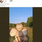 Sezon na grzyby w Jaworznie rozpoczęty