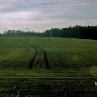 zdjęcie nr 23