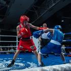 zdjęcie nr 187