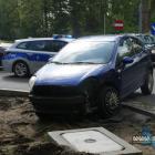 Fotka nr 1 z 9