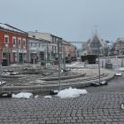 Wycięty jawor na rynku