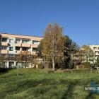 Nowe drzewa na skwerze przy Towarowej