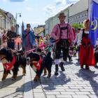 Parada berneńczyków w Tarnowie
