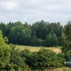 zdjęcie nr 39