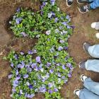 Niebieskie Igrzyska w SP 18 – edukacja przez doświadczenie i wspólnotę. Fot. SP 18...